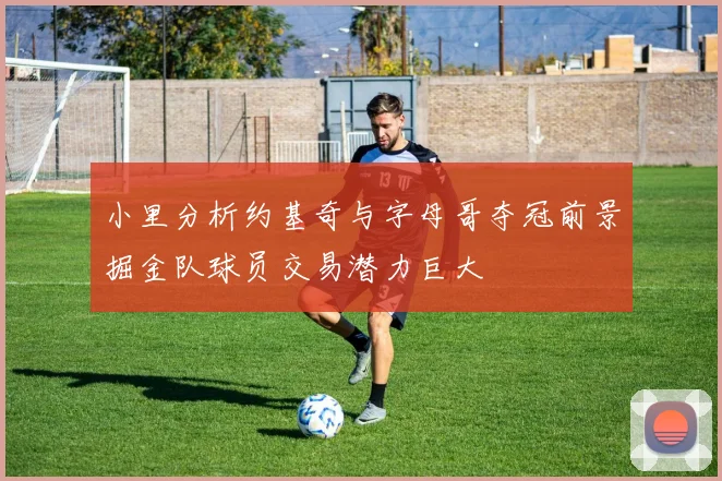 小里分析约基奇与字母哥夺冠前景掘金队球员交易潜力巨大
