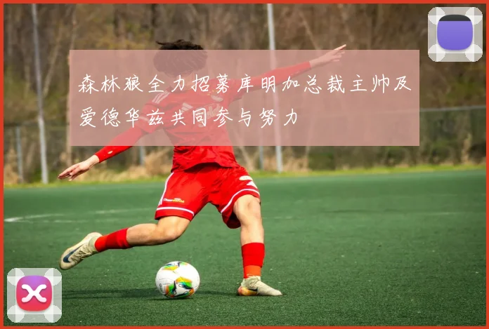 森林狼全力招募库明加总裁主帅及爱德华兹共同参与努力